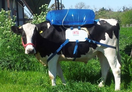 A beef levy would help unleash GHG-mitigating innovations like—I kid you not— this gas-collecting cow backpack 