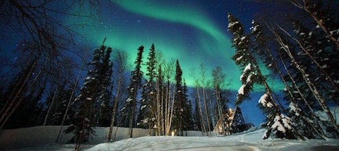 Picture of northern lights and snow covered trees feature image for Carbon pricing in Canada's North blog