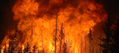 Image of forest fire