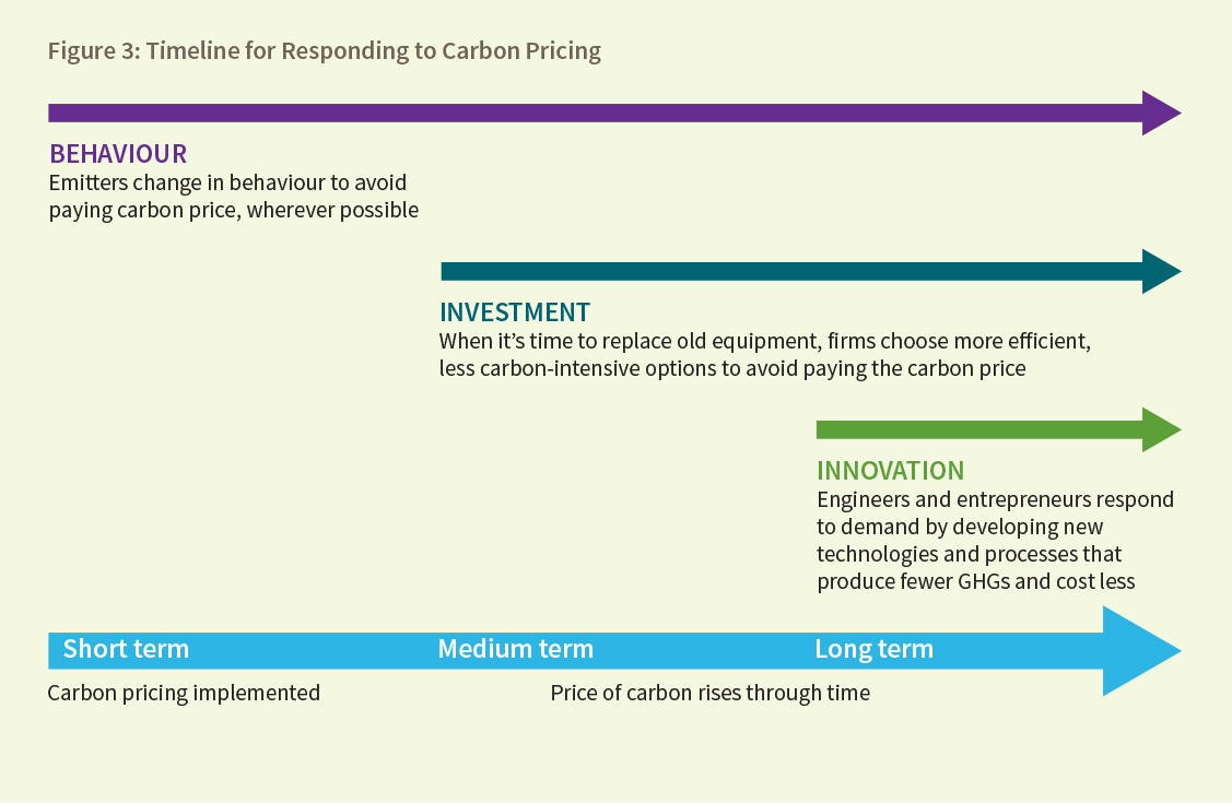 Figure 3: Timeline for Responding to Carbon Pricing