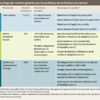 Tableau 6 : Recyclage des recettes générées par les politiques de tarification du carbone